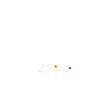 Shady logo